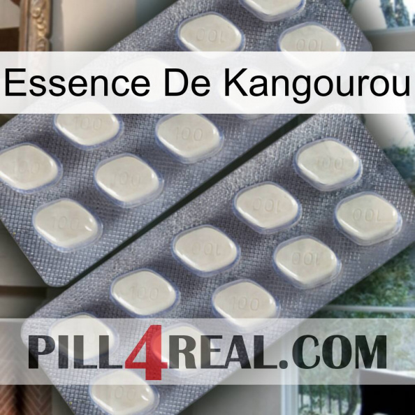 Kangaroo Essence 07.jpg